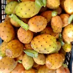 Nni Gecchi Cefalù