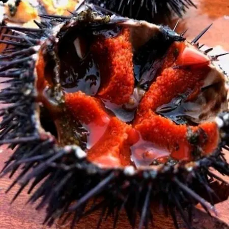 Nni Gecchi Appartamento