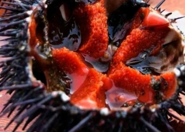 Nni Gecchi Apartment