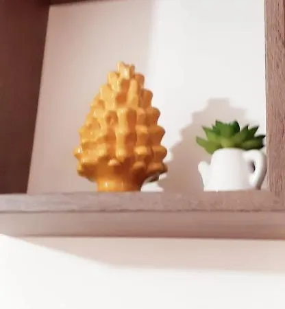 Apartmán Nni Gecchi *