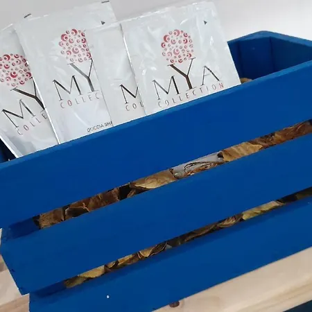 Nni Gecchi Lejlighed